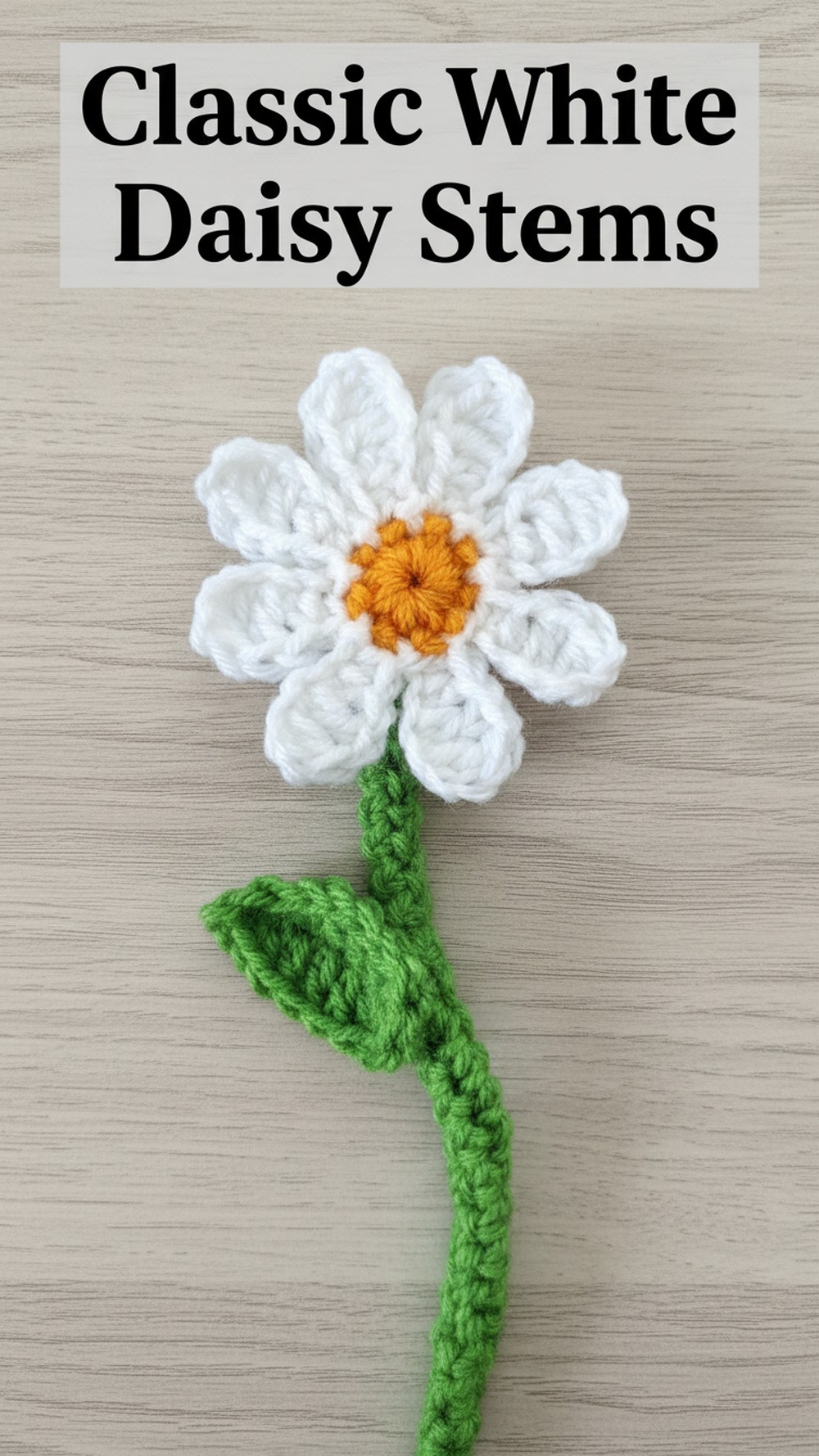 Classic White Daisy Stems
