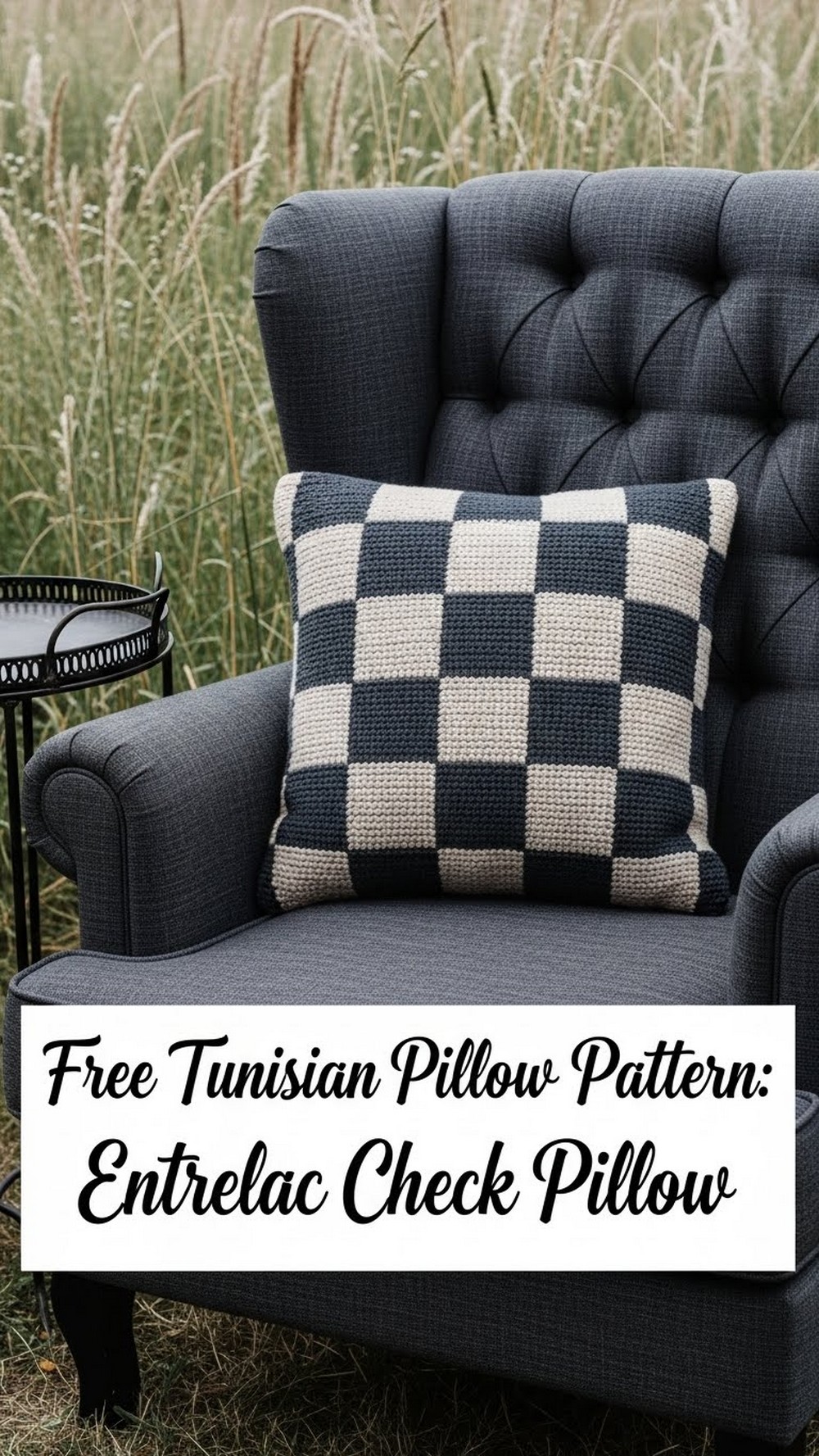 Free Tunisian Pillow Pattern Entrelac Check Pillow