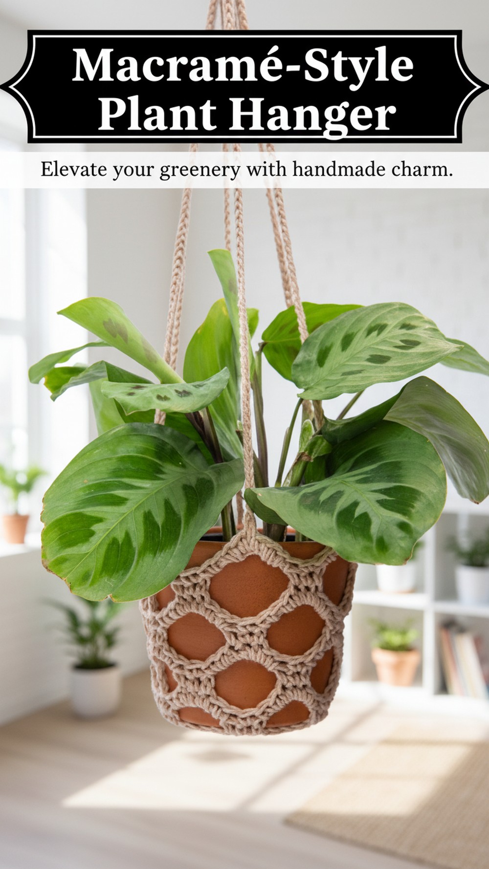 Macramé-Style Plant Hanger