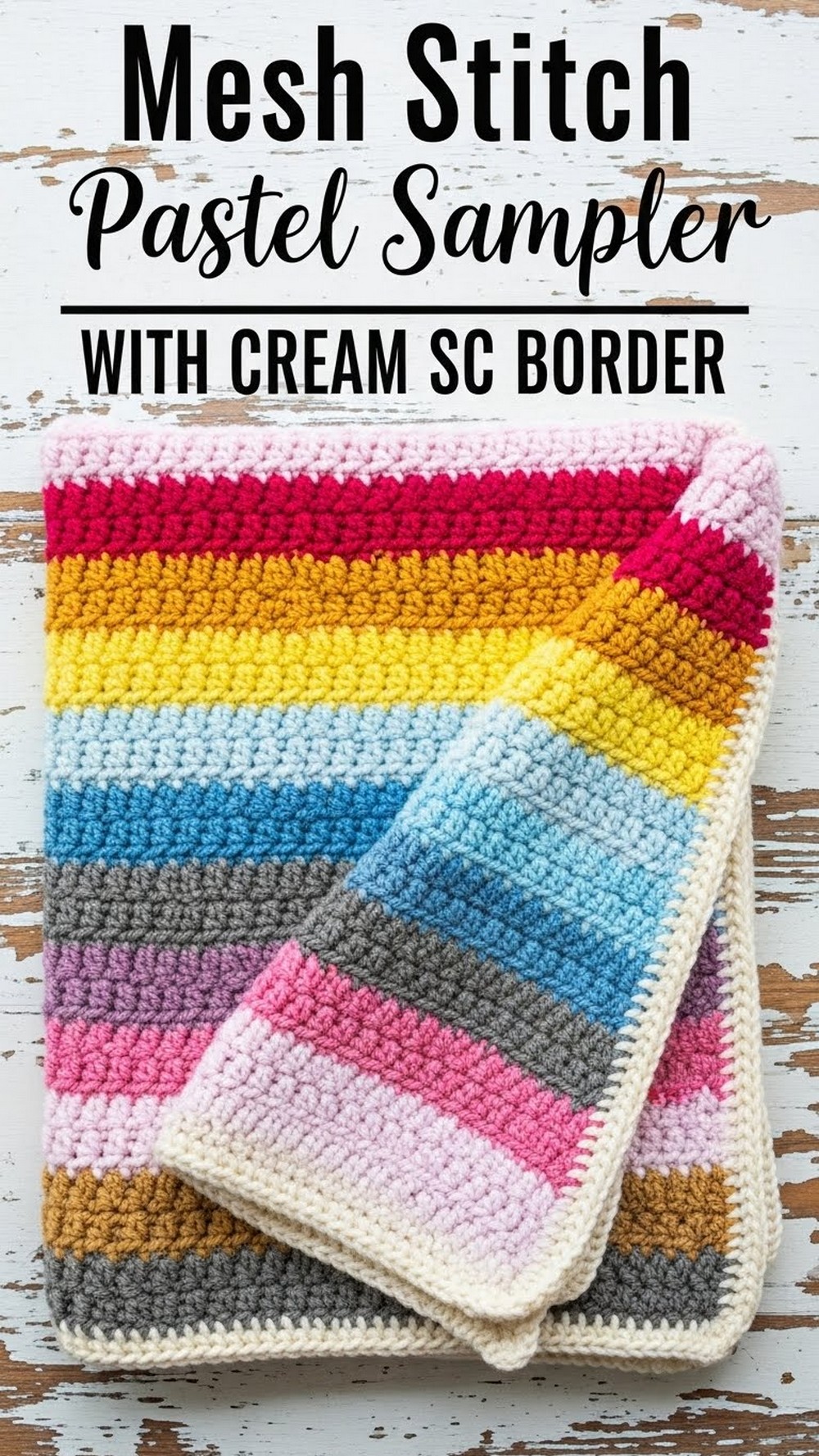 Mesh Stitch Pastel Sampler with Cream SC Border
