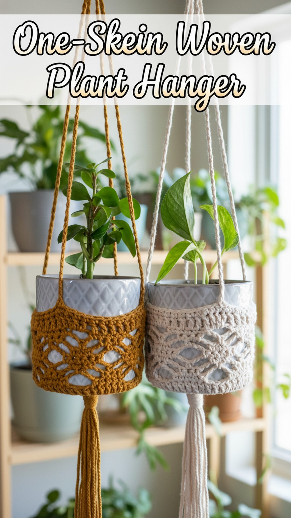 One-Skein Woven Plant Hanger