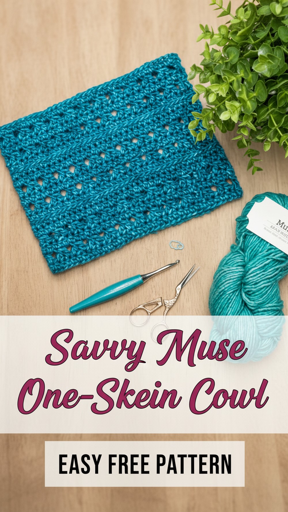 Savvy Muse One-Skein Cowl