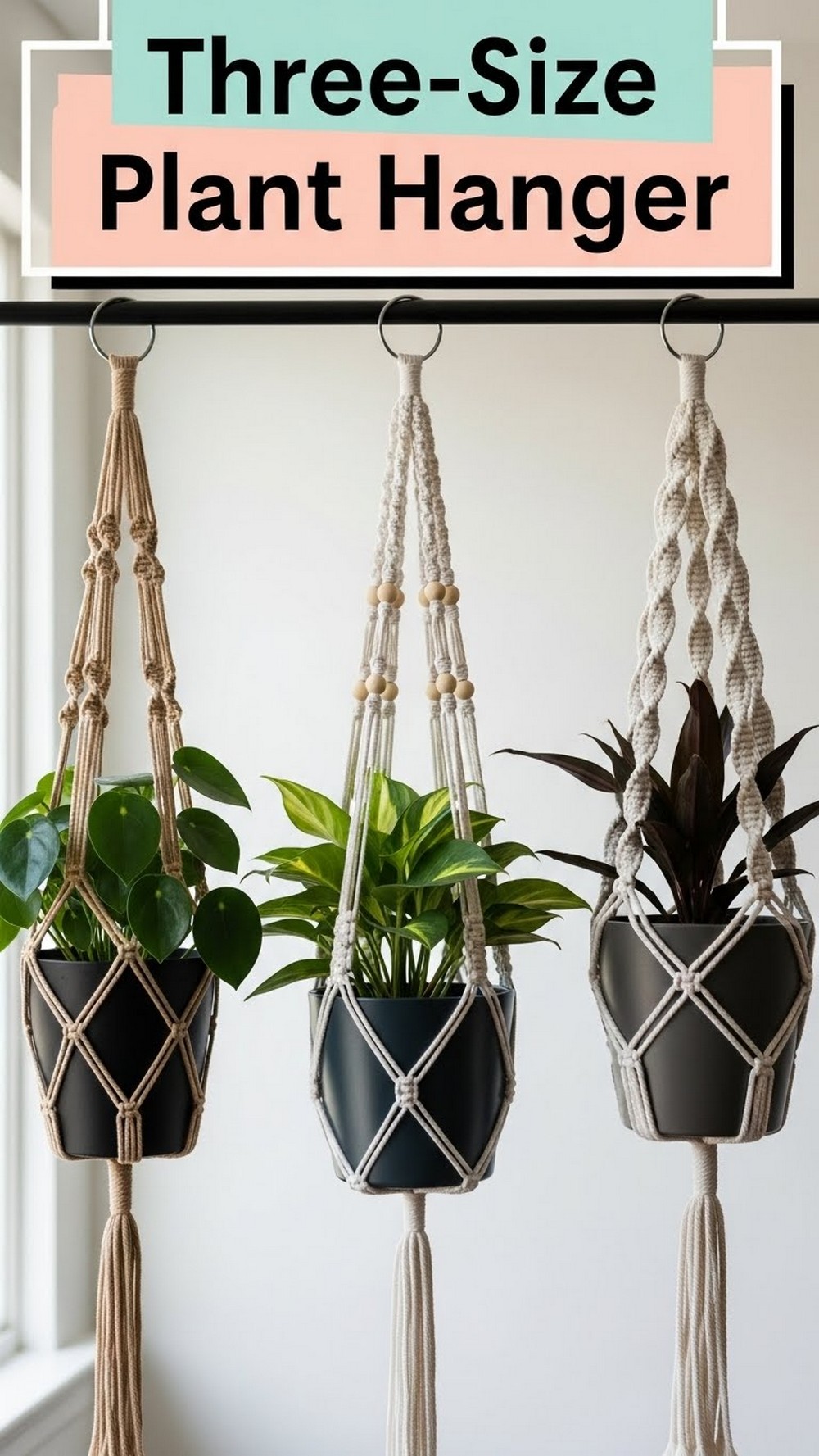 Three-Size Plant Hanger